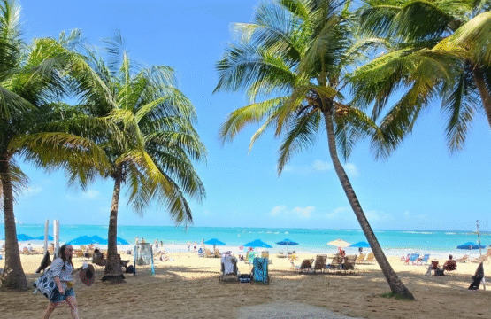 ChatGPT Image Oct 25, 2025, 02 17 29 PM